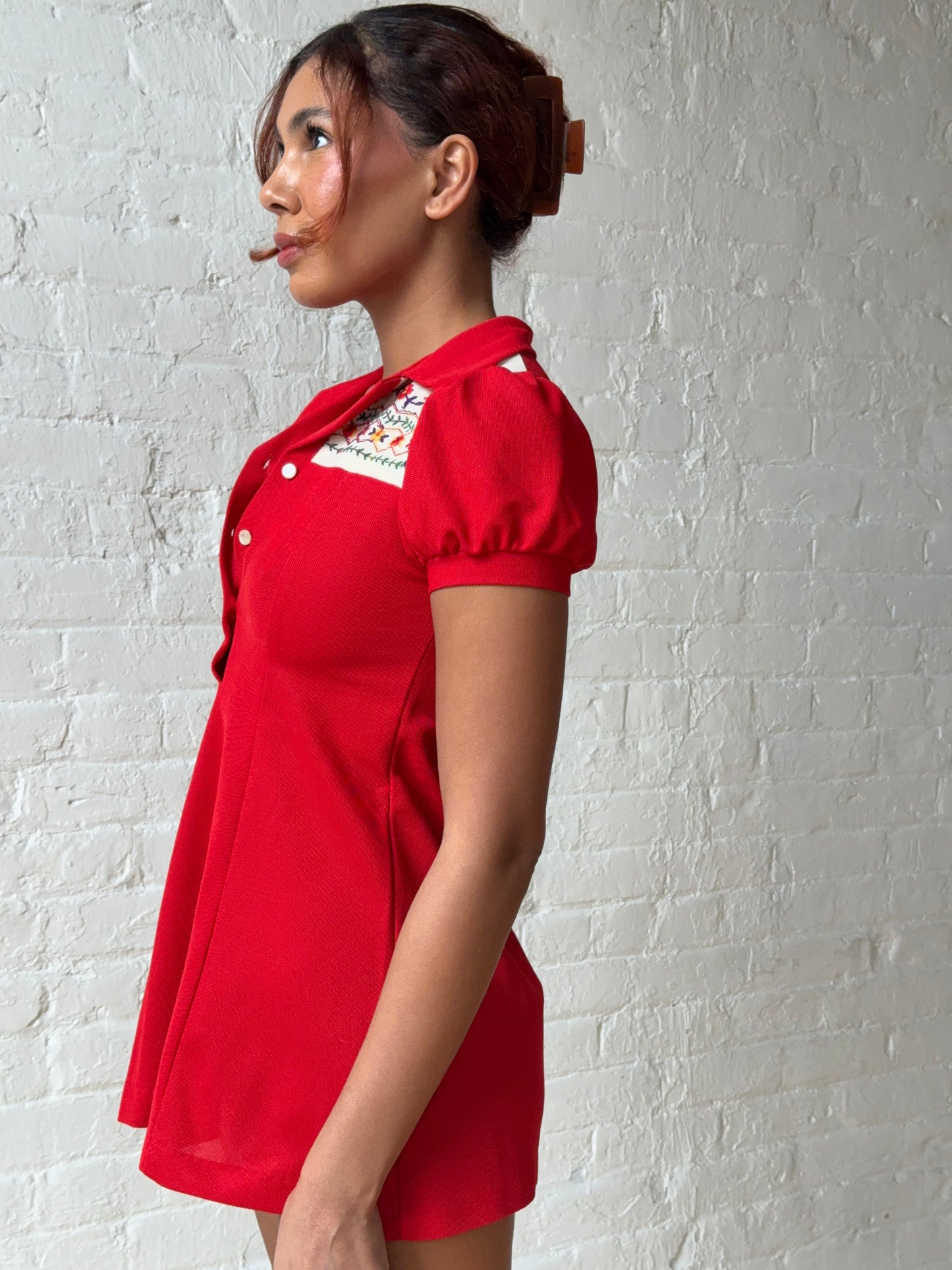Vintage Red Puff Sleeve Embroidered Mini Dress